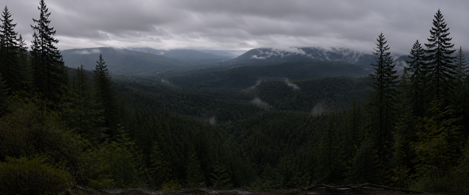 Cascade foothills above Snohomish County, Washington